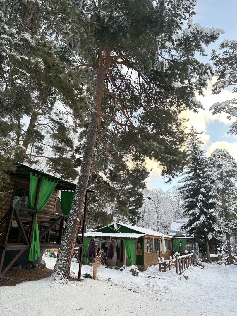 База отдыха Тайга-House