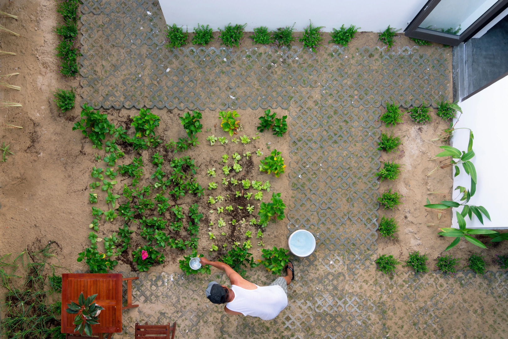 Вилла Plants Garden