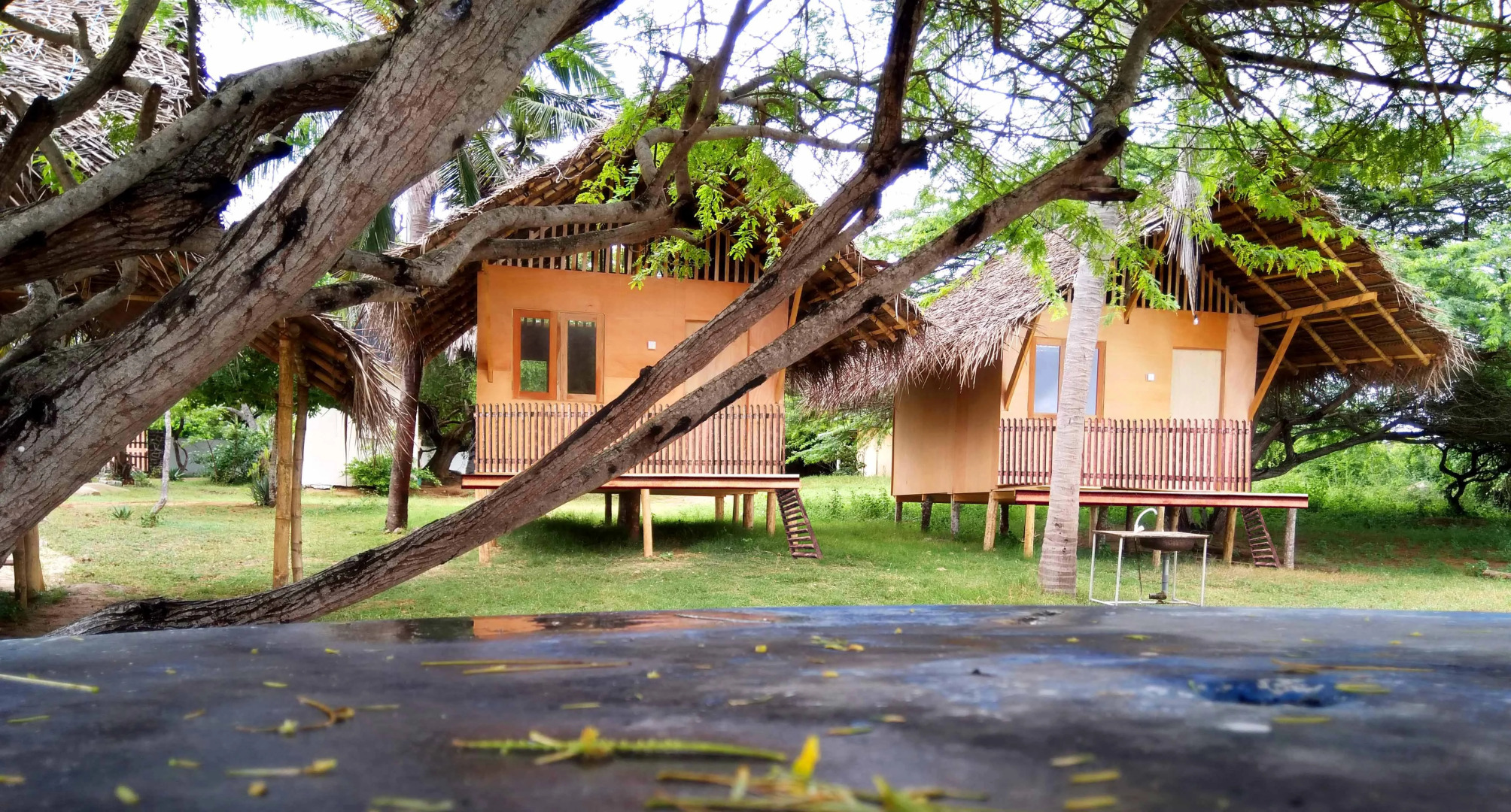 Отель Yala Waves Beach  Resort