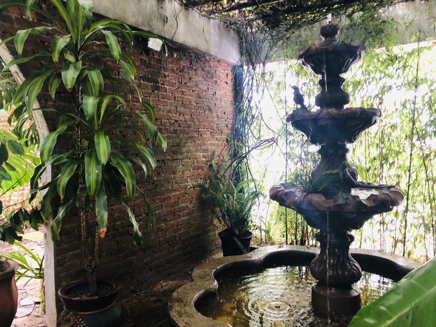 Отель El Capricho Rotamundos