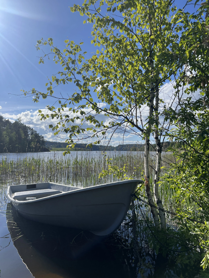 Частный дом Оявойс