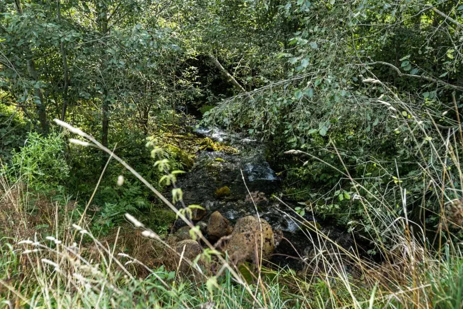 Частный дом с 2-мя спальнями и кухней-гостиной