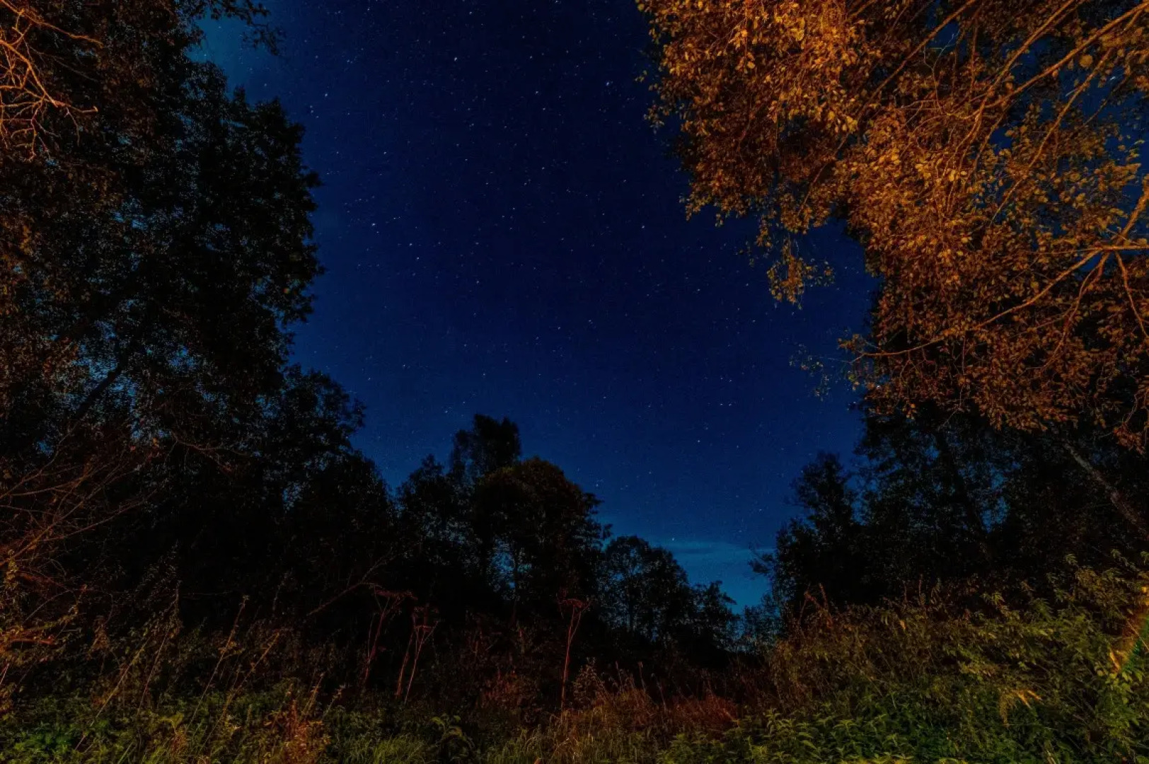 Частный Дом Афрейм с видом на лес №2