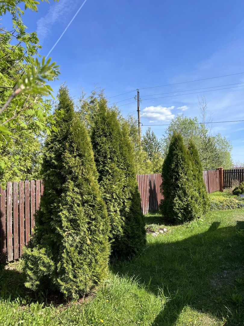 Гостевой дом Русский с баней у озера