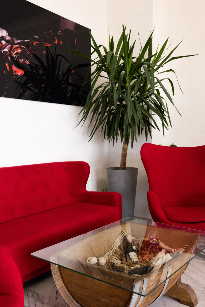 Отель Spa Hotel VINTAGE