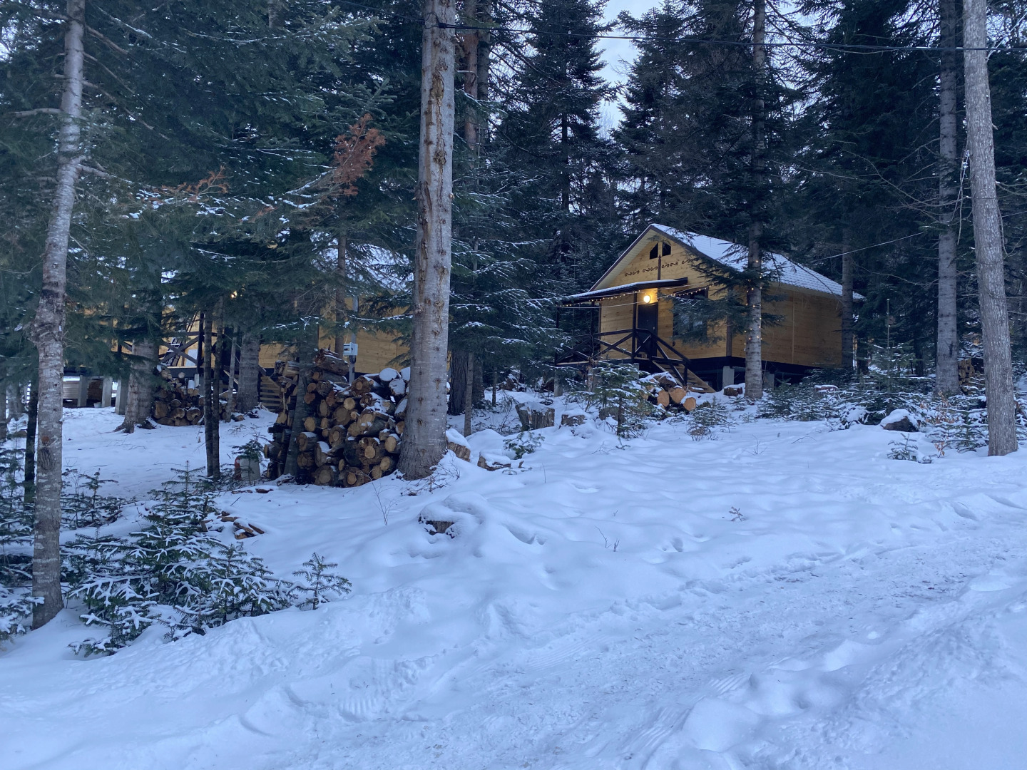 База отдыха Поляна Зубров