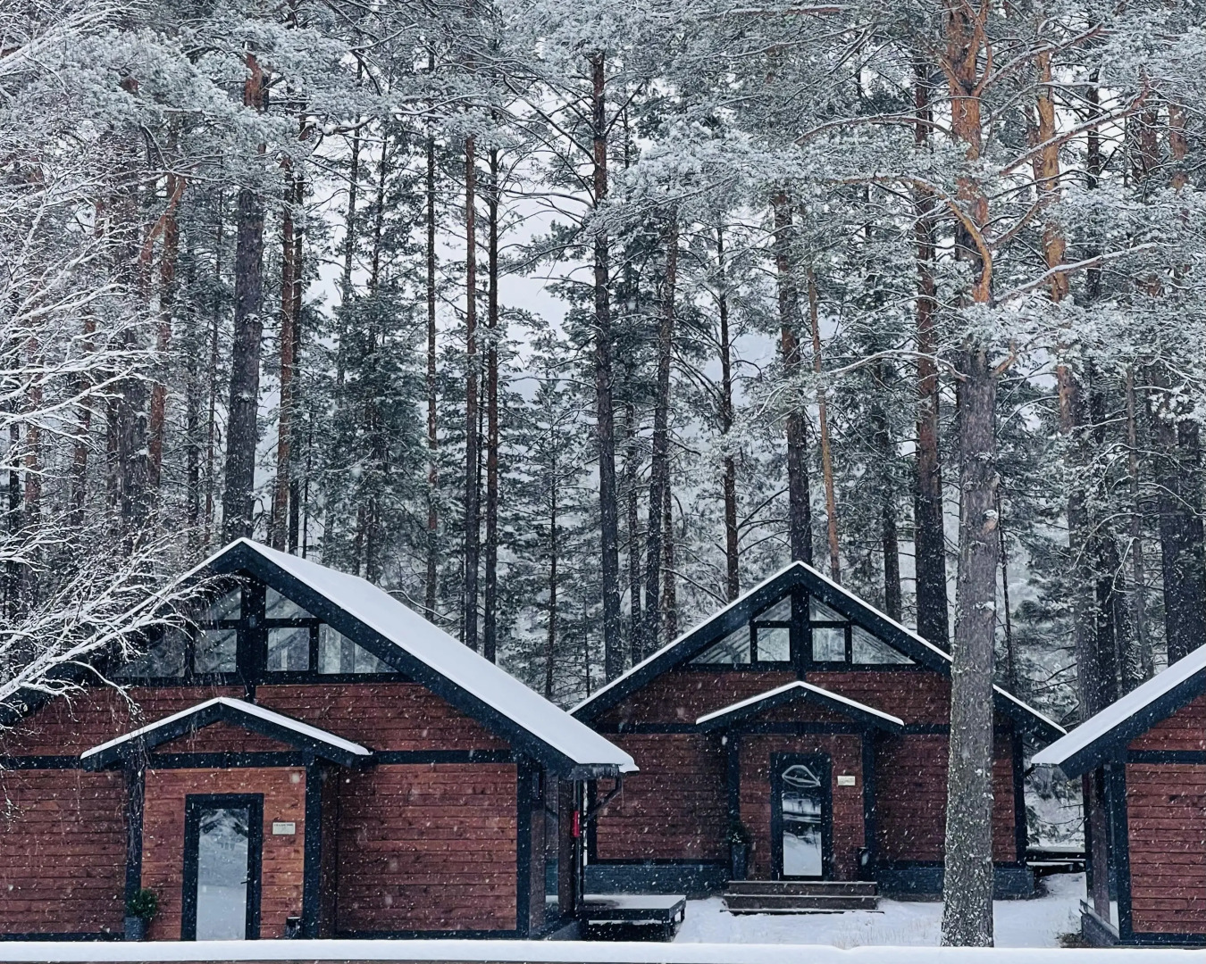 База Отдыха Шелест