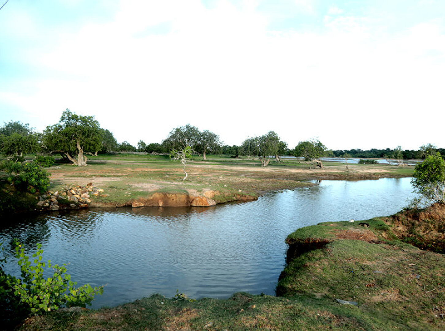 Отель Camping Yala Hotel Ravana luxury Safari Camp Tents