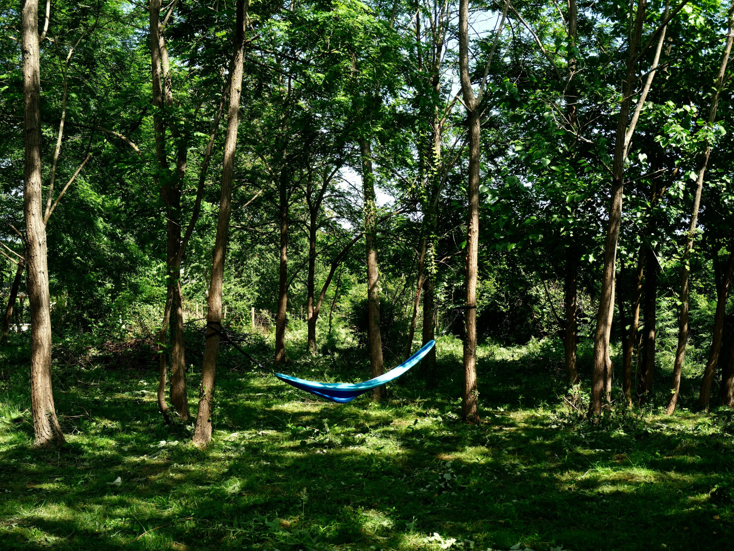 База отдыха Лыхны