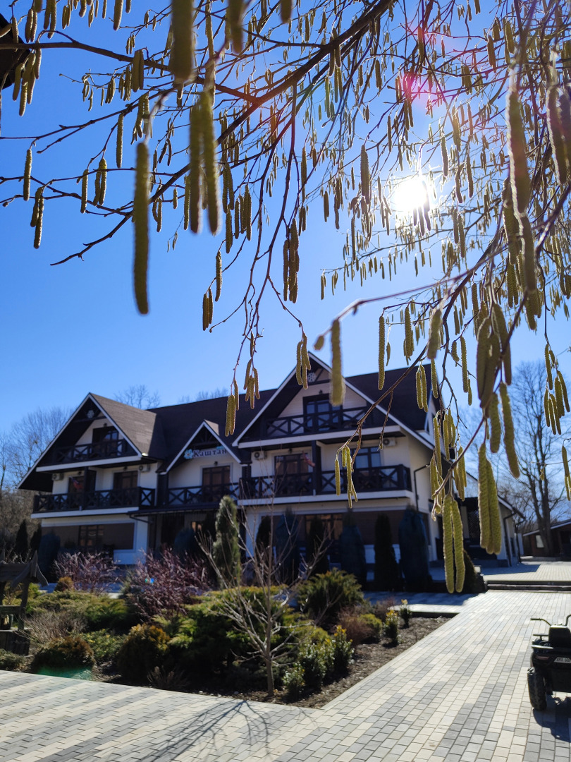 Отель Каштан