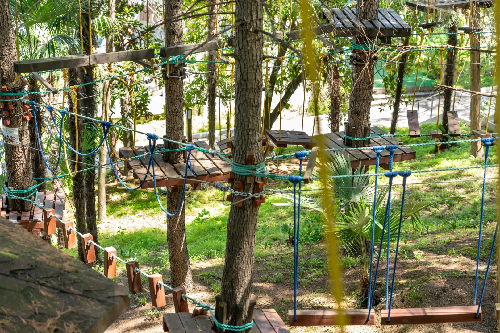 Пансионат с лечением Сокол