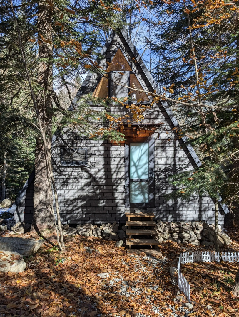 Счастливый лось