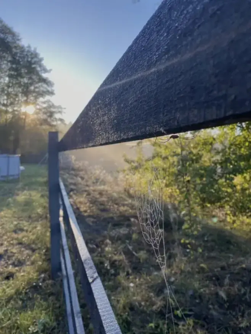 Частный Дом на Реке Green Place House