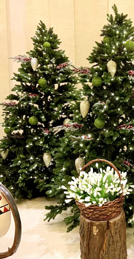 Гостевой Дом Совиный Берег