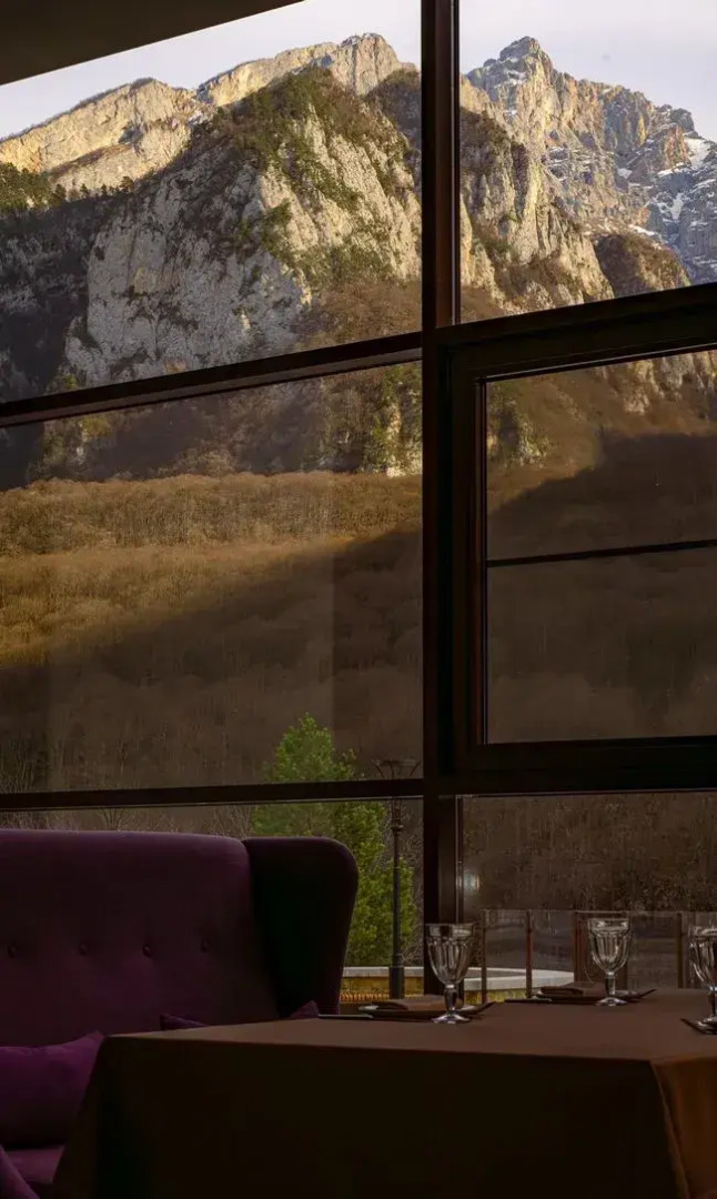 Отель Forrest Terrace