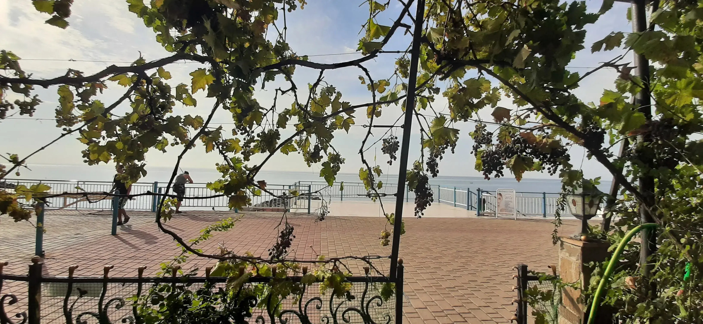 Квартира Эллада-2