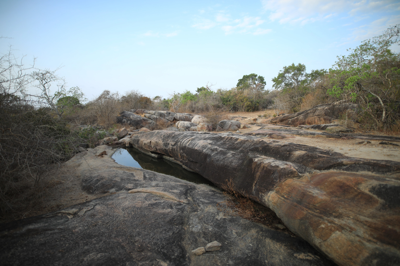 Topan Yala – Luxury Tented Safari