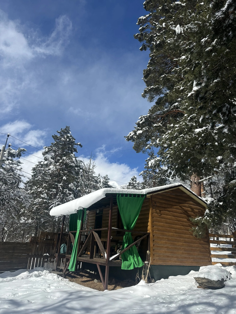 База отдыха Тайга-House