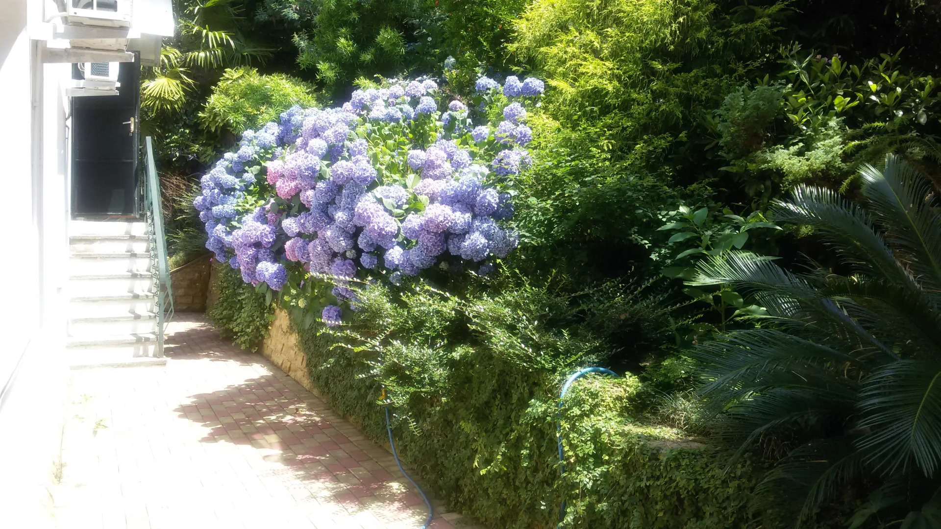 Гостевой дом Эвкалипт
