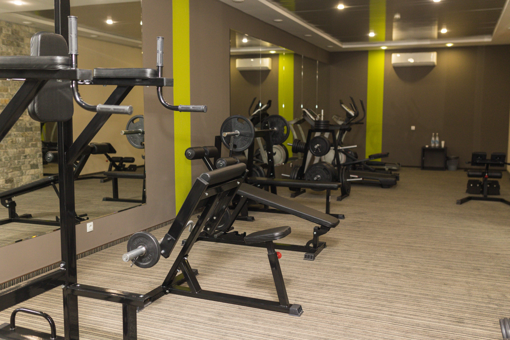 Золотой дракон