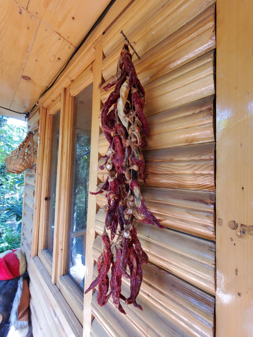 Отель West Tbilisi