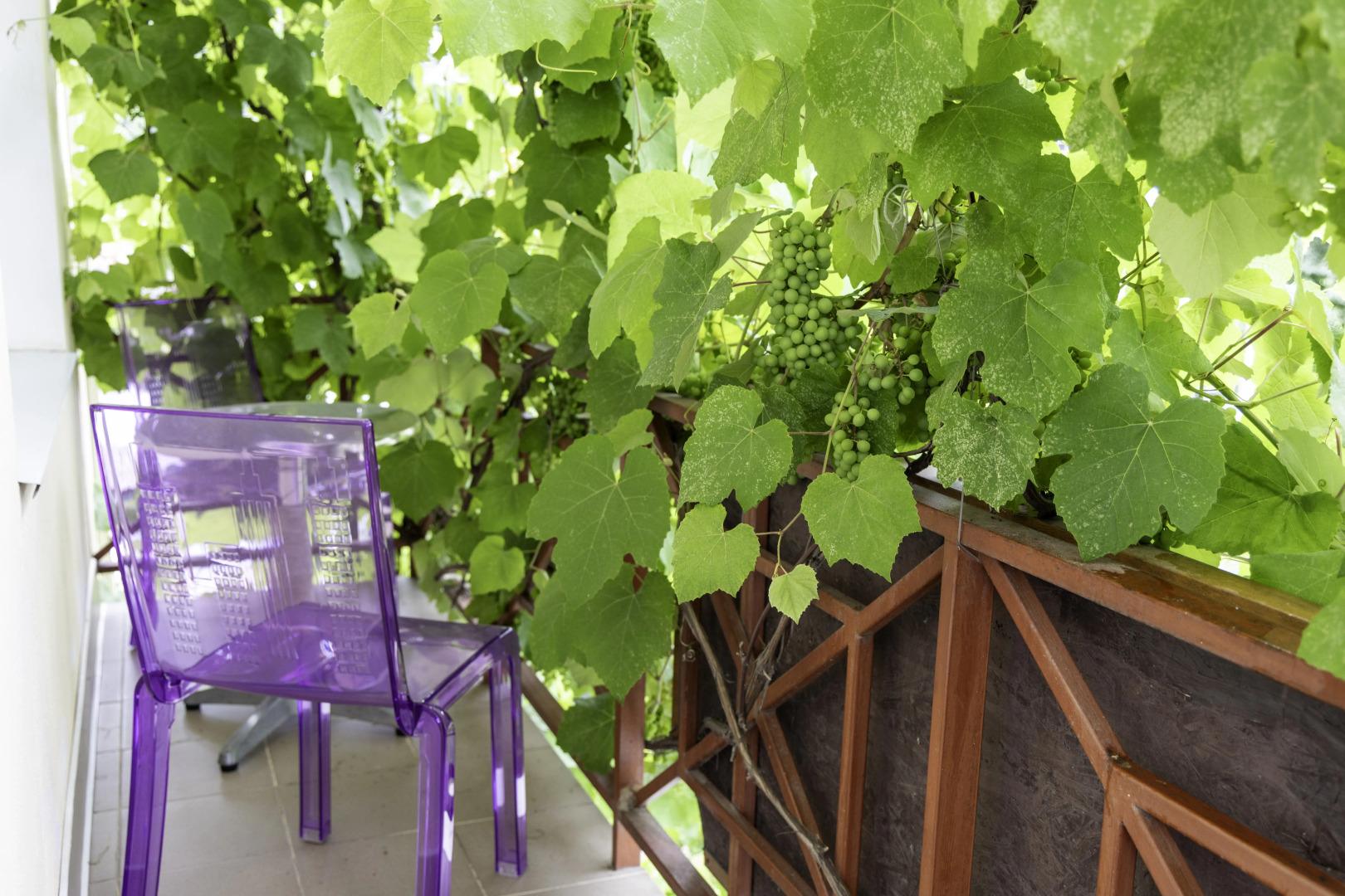 Гостевой дом Ла-Манча