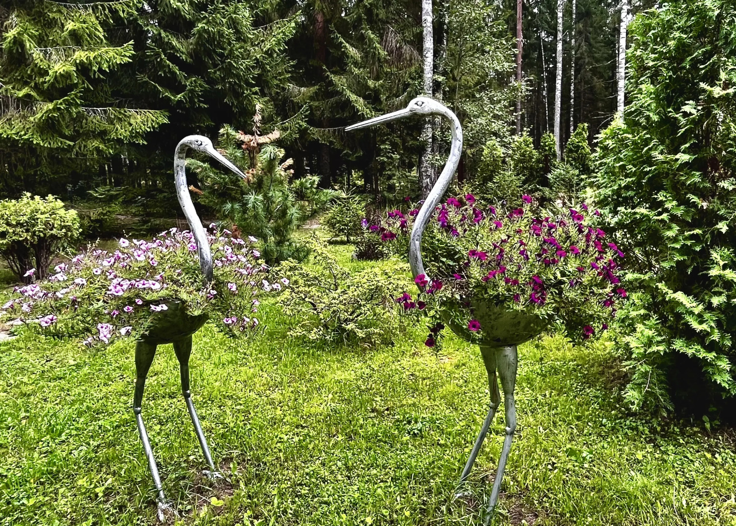 Гостевой дом Грибной домик на берегу Озера Волго на Селигере - коттеджи Сосновый бор