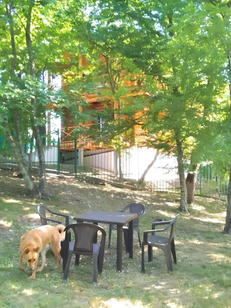 Гостевой Дом Бревенчатый