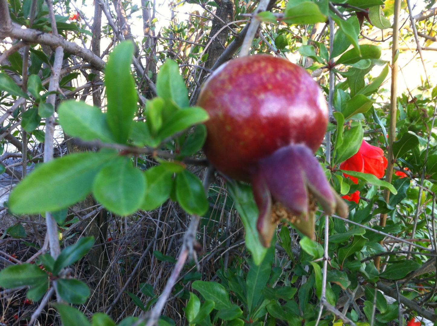 База Отдыха Эко Курорт Морское