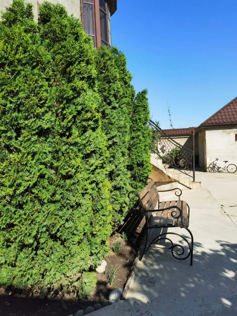 Гостевой Комплекс Жасмин