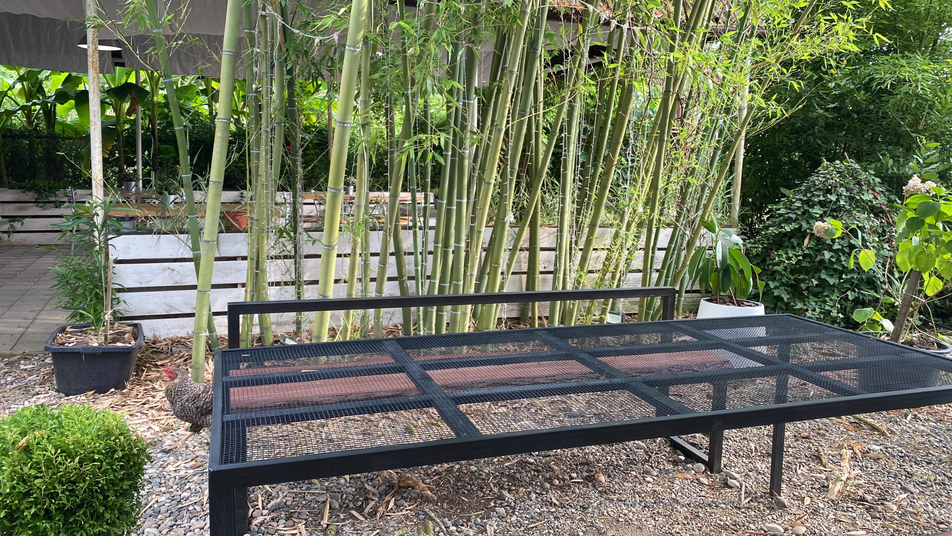 Мини-отель Розмарин