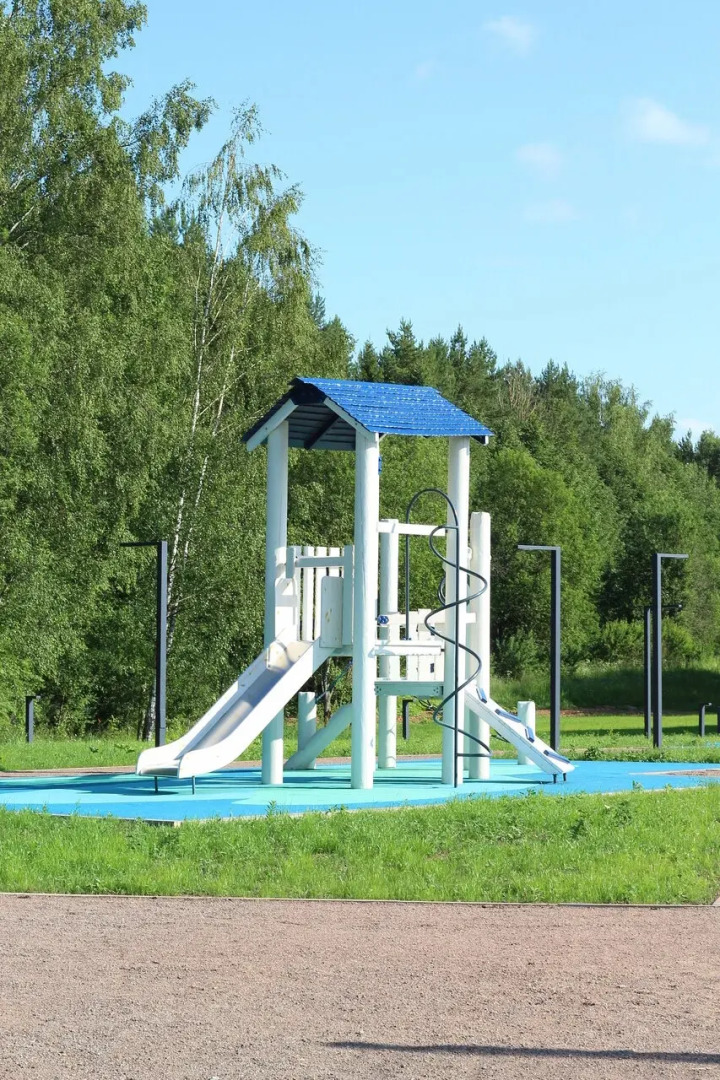 Частный дом в березах