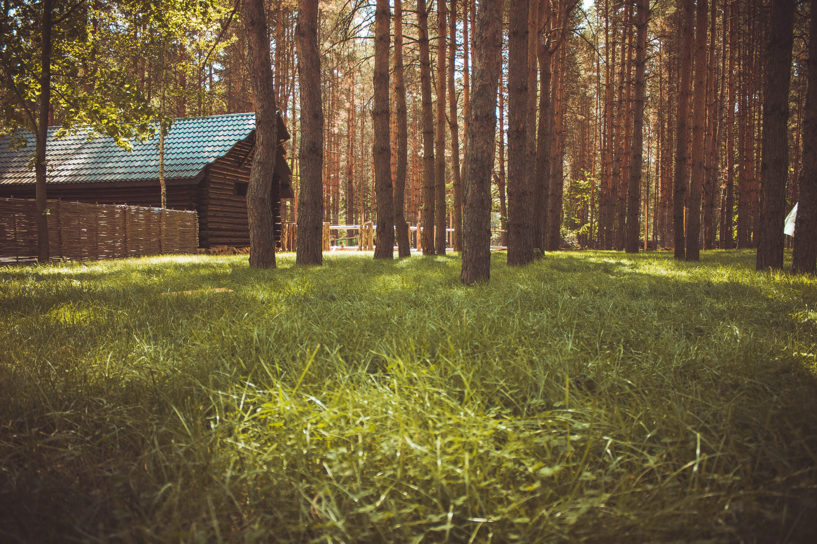 Отель Лесная Сказка