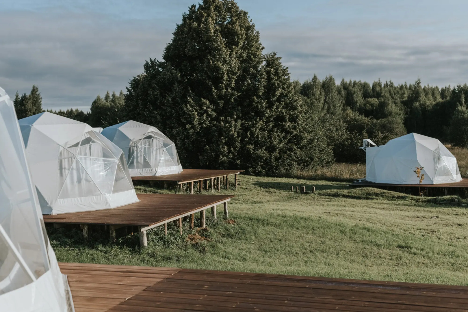 Глэмпинг Дача Липы