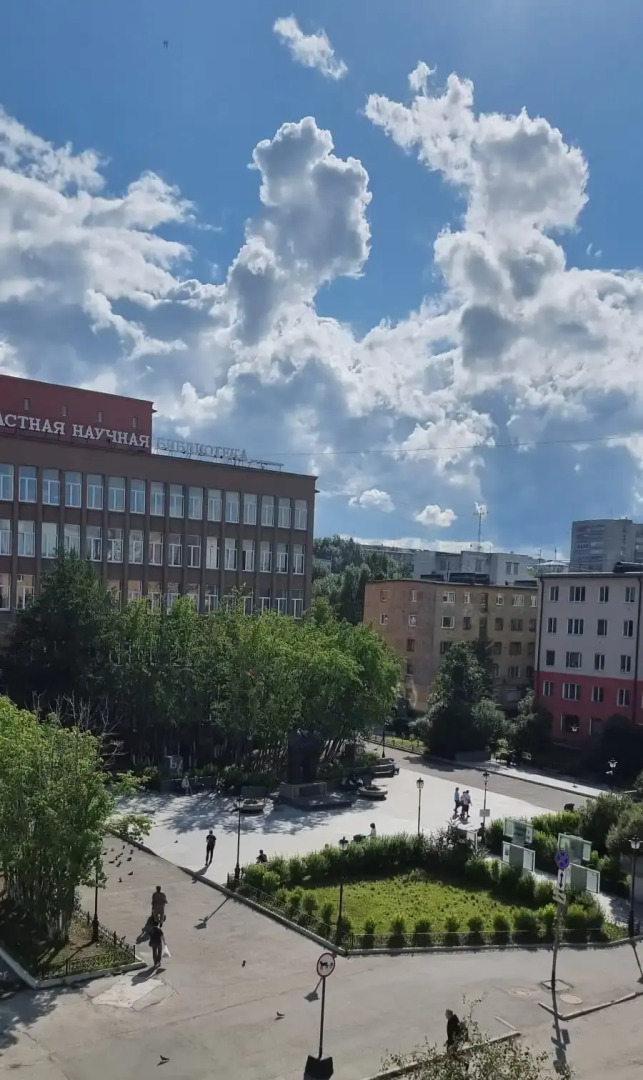 Апартаменты Apartment overlooking the library