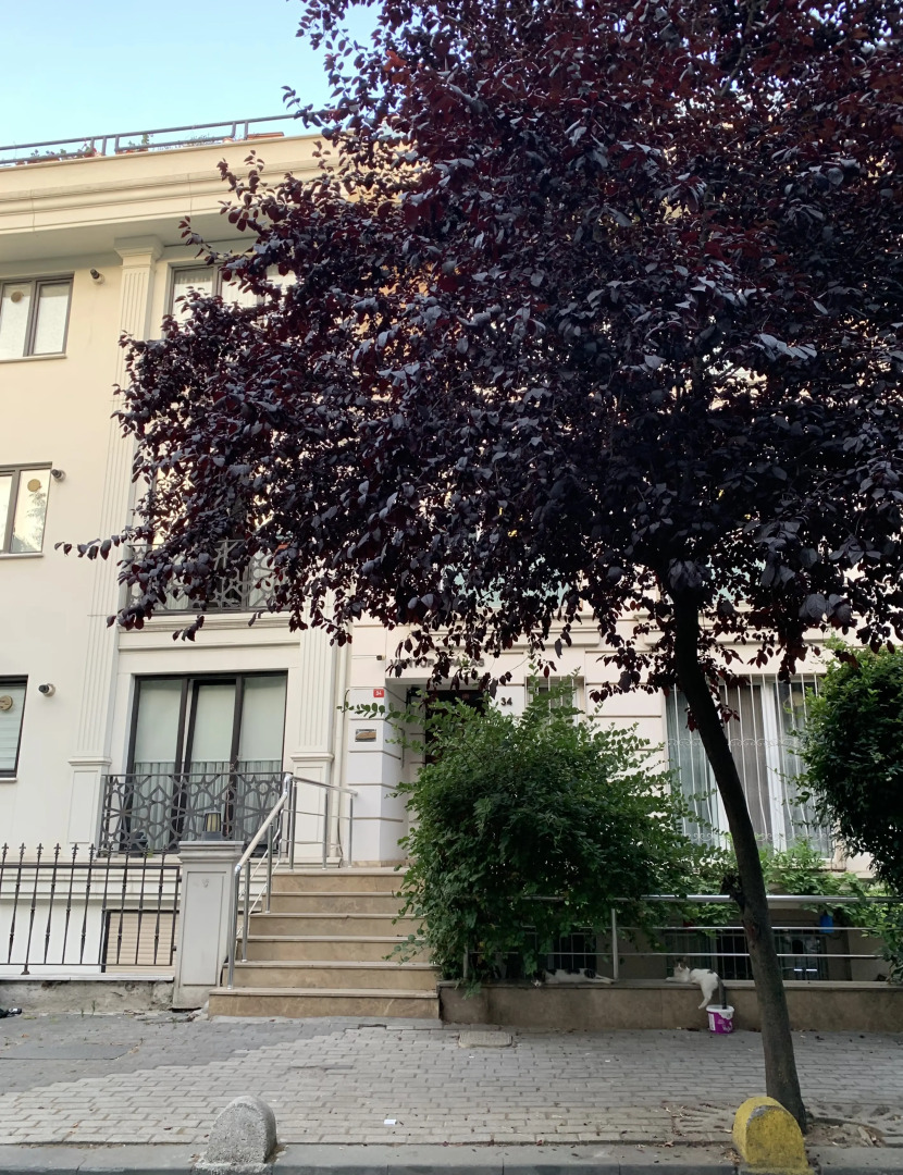 Апартаменты Kaplan Luxury