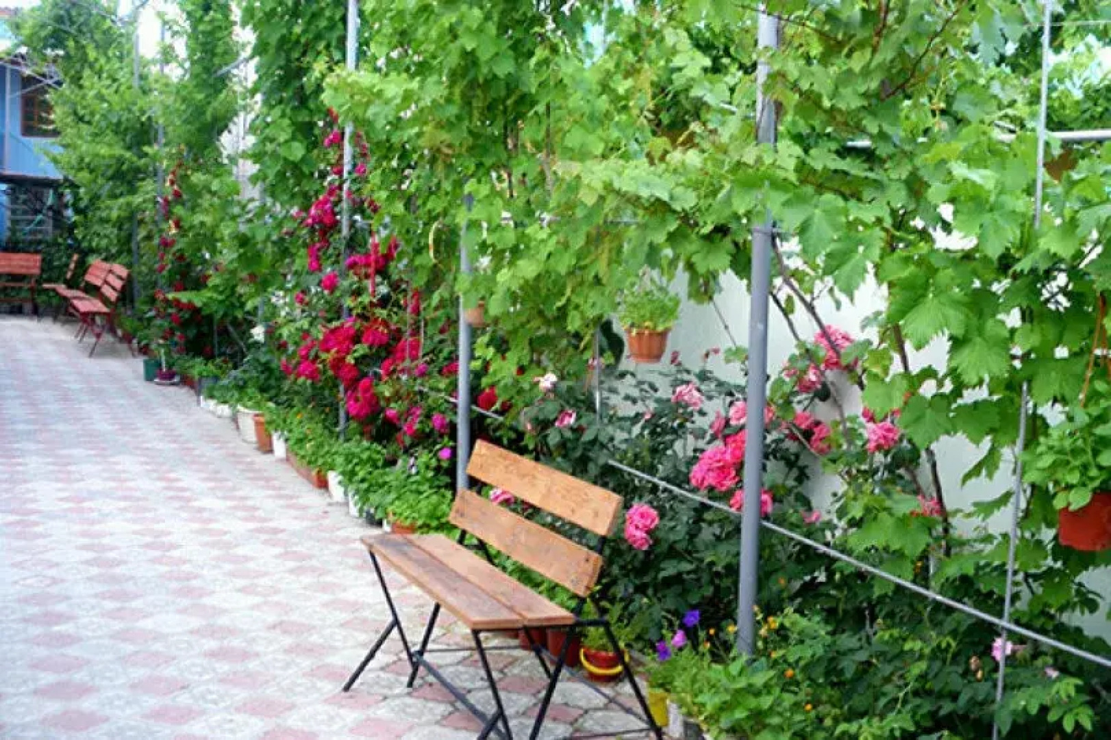 Гостевой Дом Дольче Вита