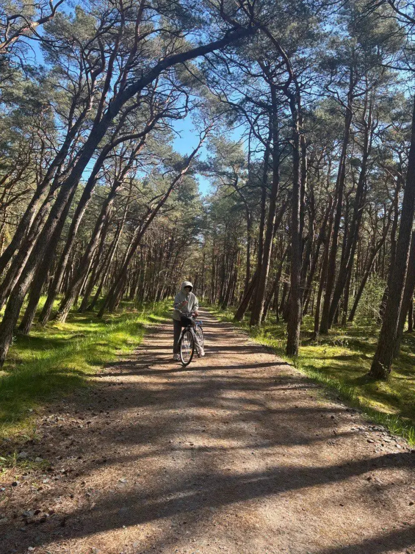 Апартаменты 39квартир с бесплатной арендой велосипедов