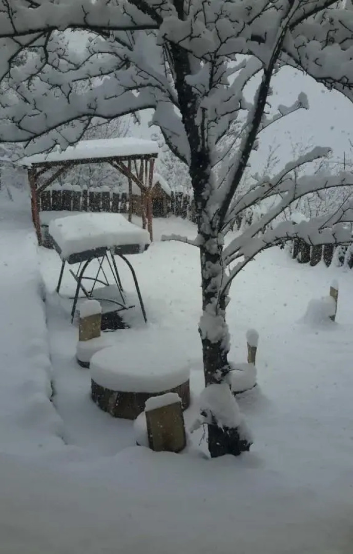 Гостевой дом Popock Dilijan