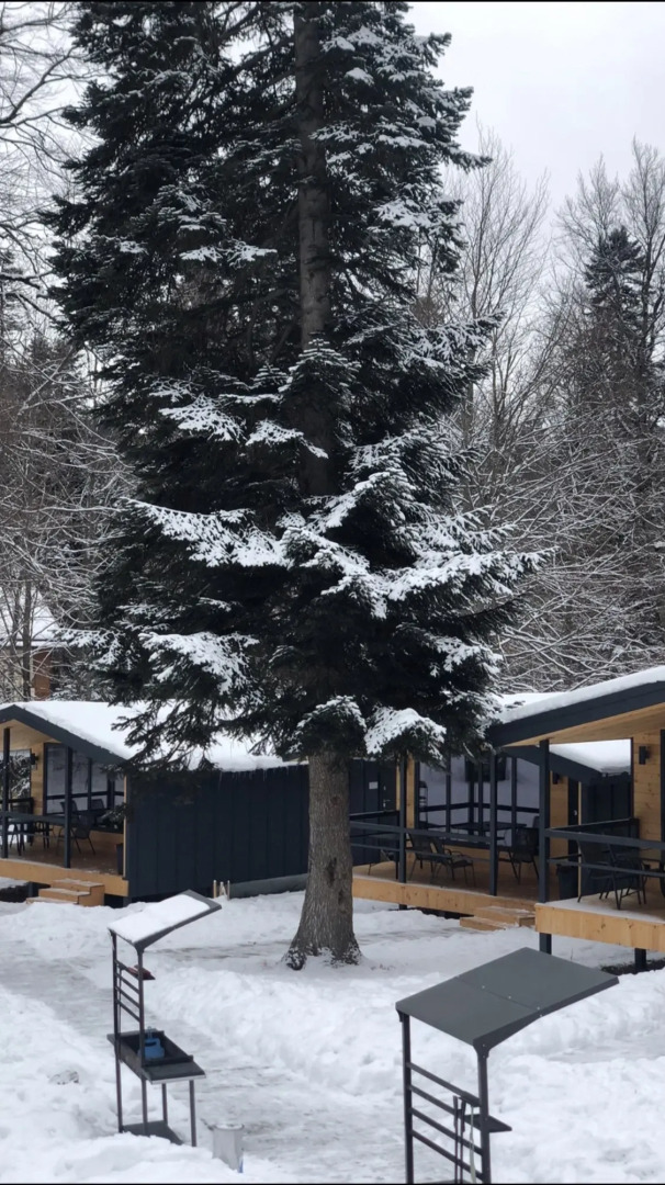 База отдыха Зима Лето