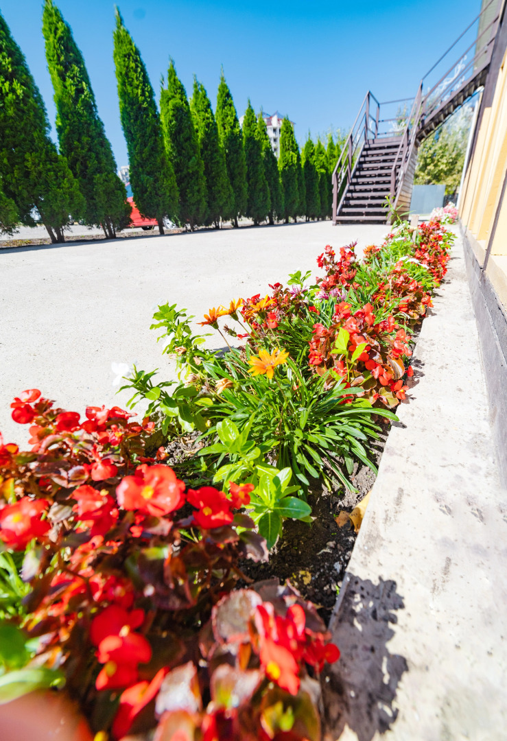 Отель Южный бриз