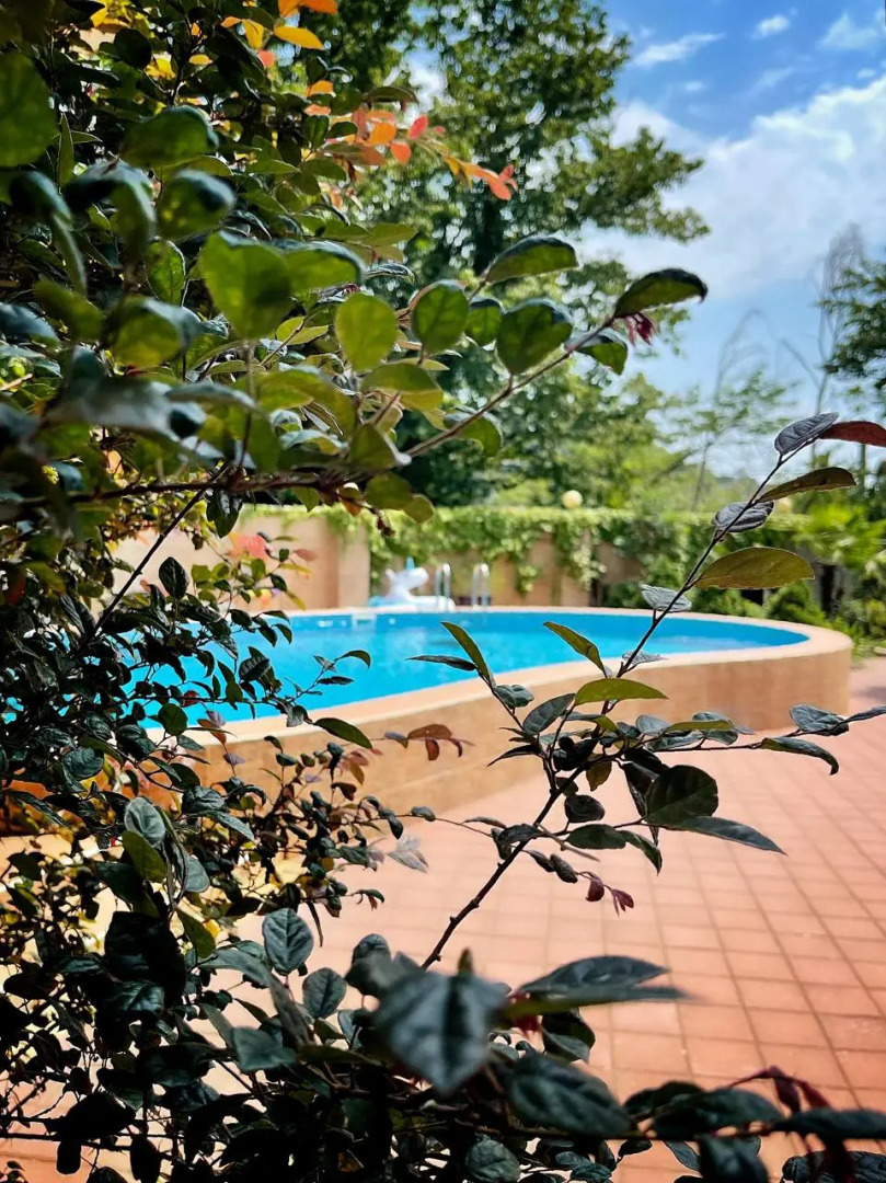 Гостевой дом Happy rabbit