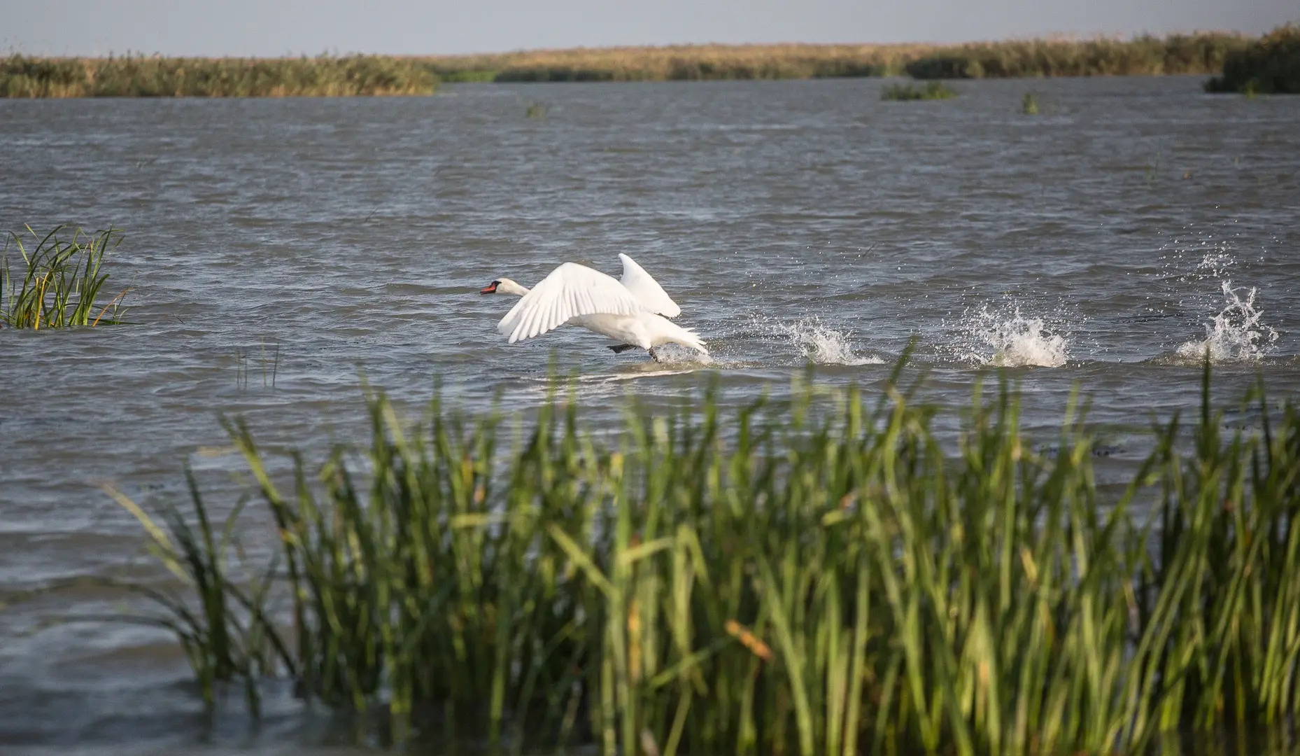 База Отдыха Дом Рыбака