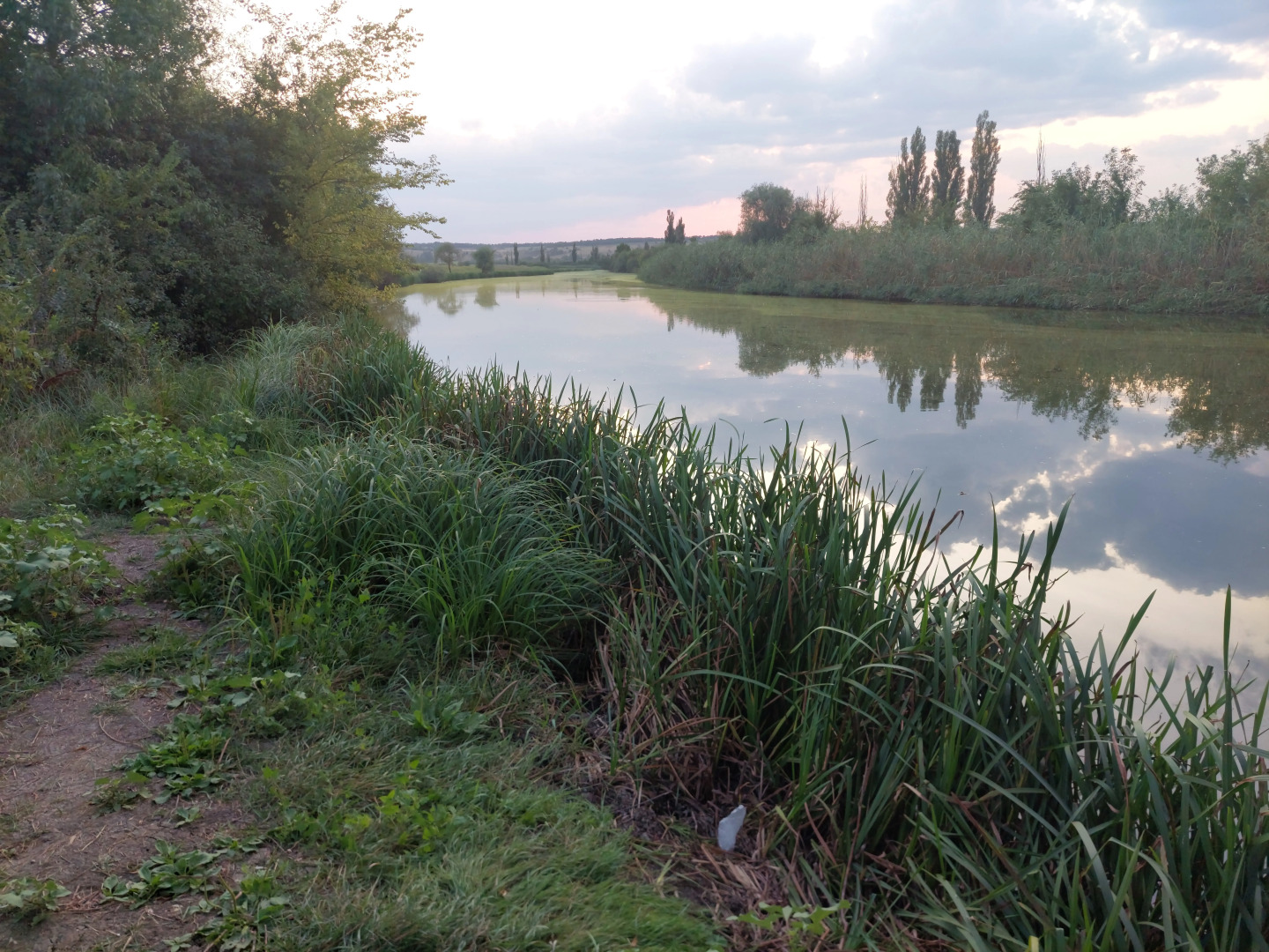 Частный дом У реки коттедж с баней на дровах и купелью