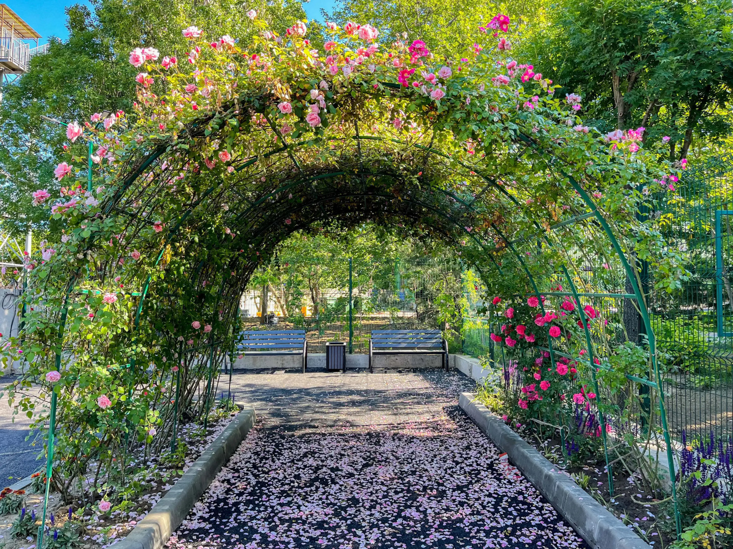 Отель Мореин