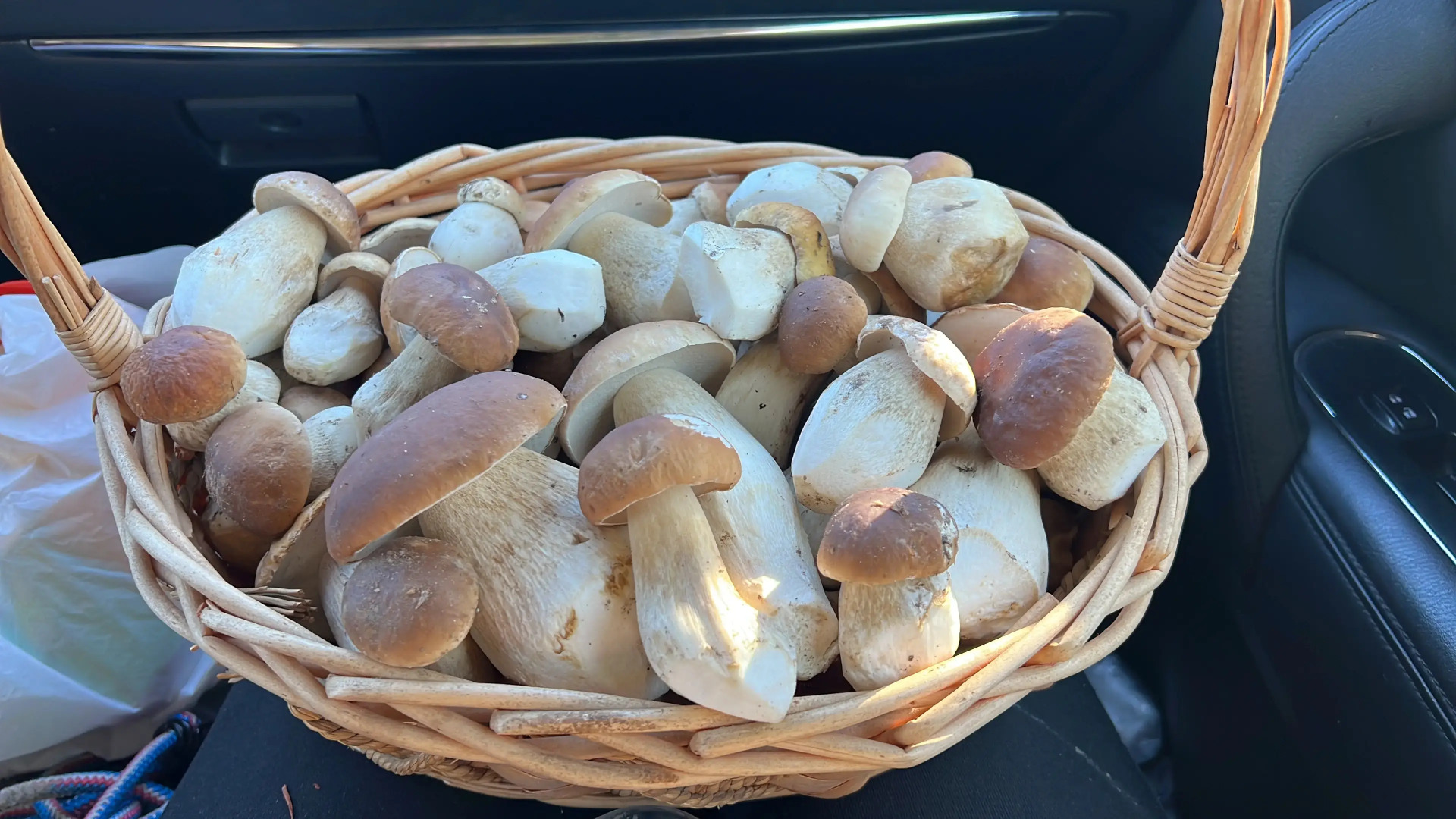 Частный дом Веселые гуси 3