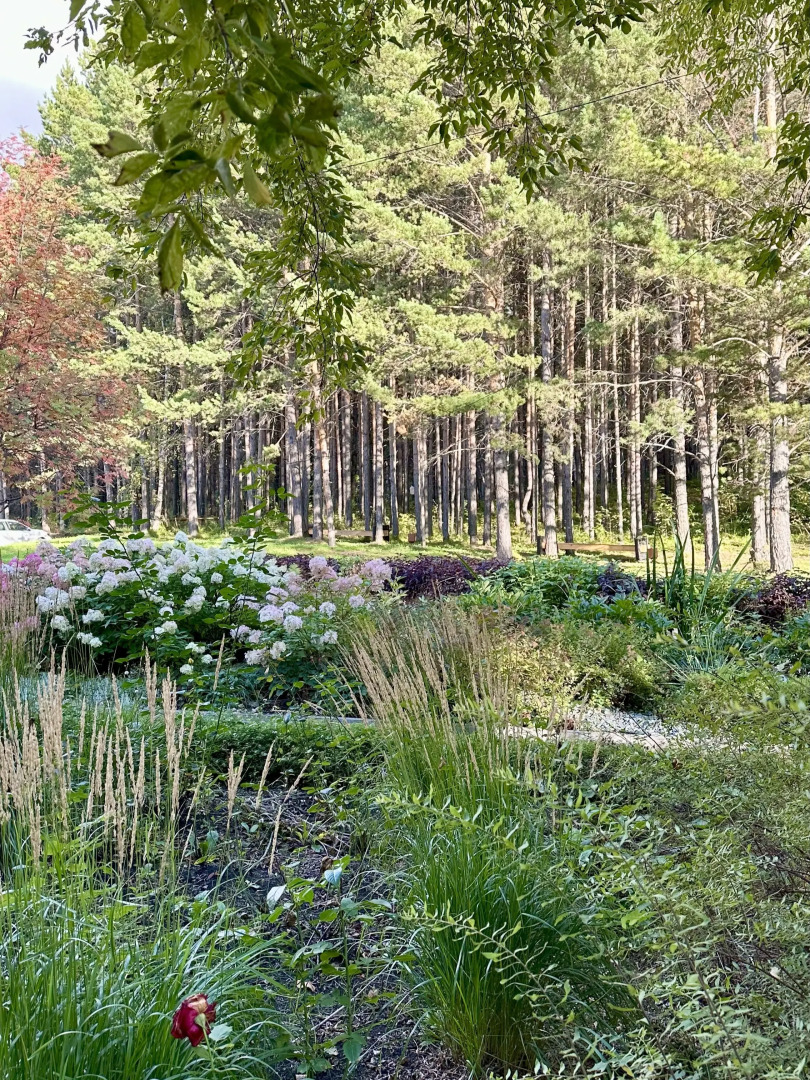 Гостиница Сосновый Бор