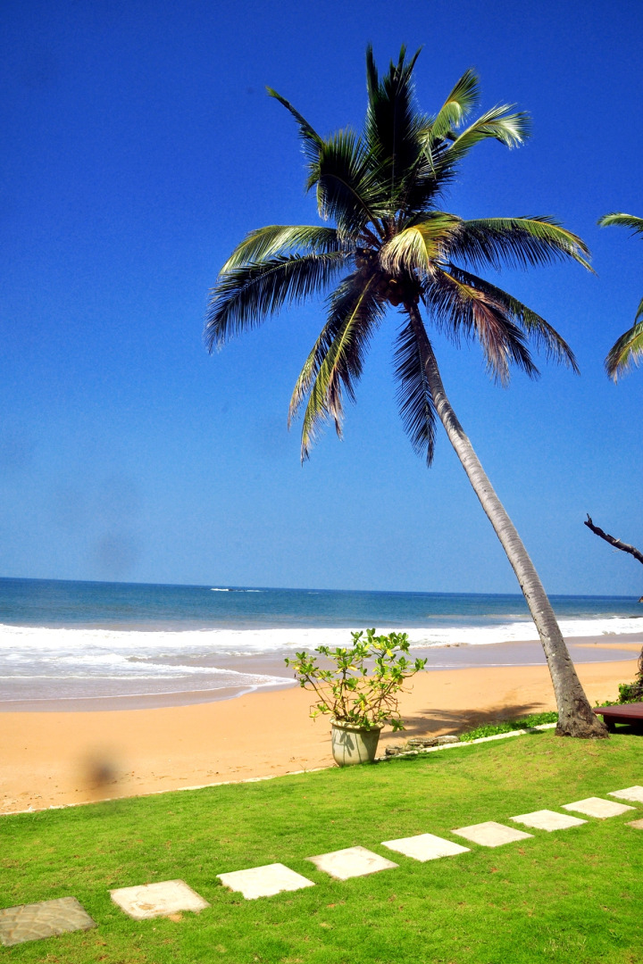 Санаторий Ocean of Life Ayurvedic