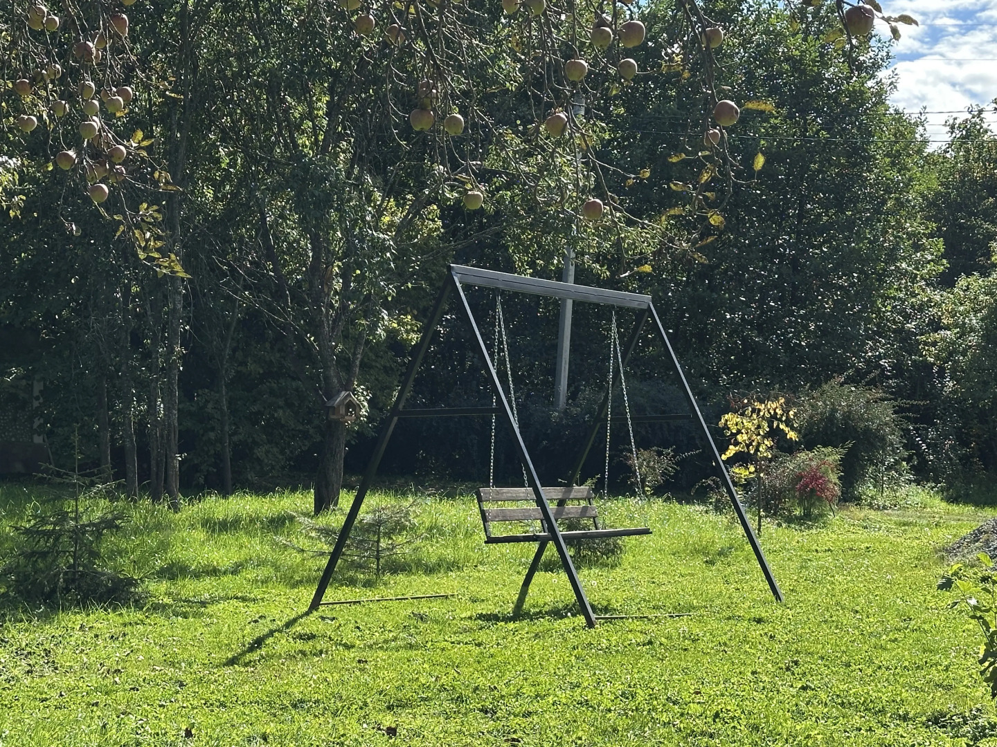 Гостевой дом Лесной