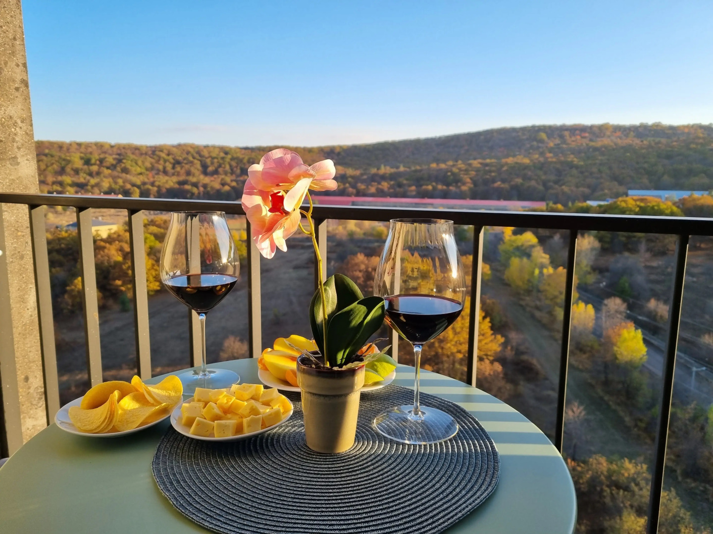 Nature View Designer Studio